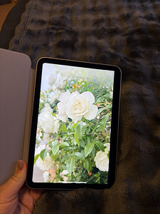 iPad mini (2024) 128 ГБ фиолетовый (2 фото из 8)