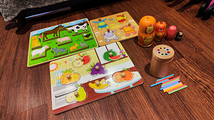 Развивающие игрушки (1 фото из 1)