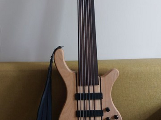 Custom 7 string fretless bass