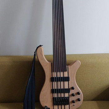 Custom 7 string fretless bass
