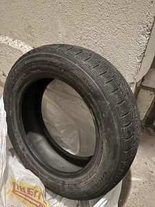 Шины Dunlop (1 фото из 3)