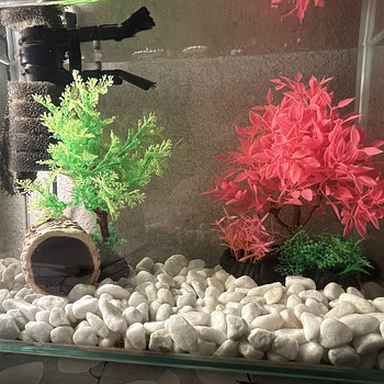 MÜÜA 20L AKVAARIUM