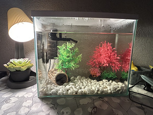MÜÜA 20L AKVAARIUM (2 foto / 3)
