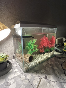 MÜÜA 20L AKVAARIUM (3 foto / 3)