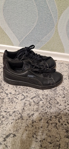 Puma tossud (1 foto / 2)