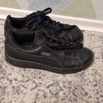 Puma tossud