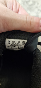 Puma tossud (2 foto / 2)