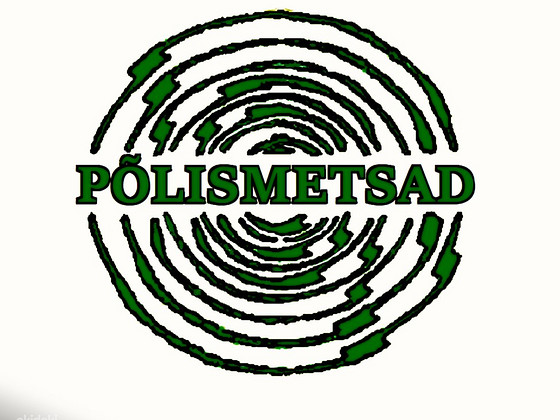 METSA OST , PARIM HIND !