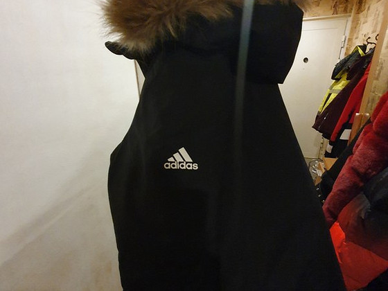 Adidas talvejope