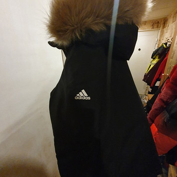 Adidas talvejope
