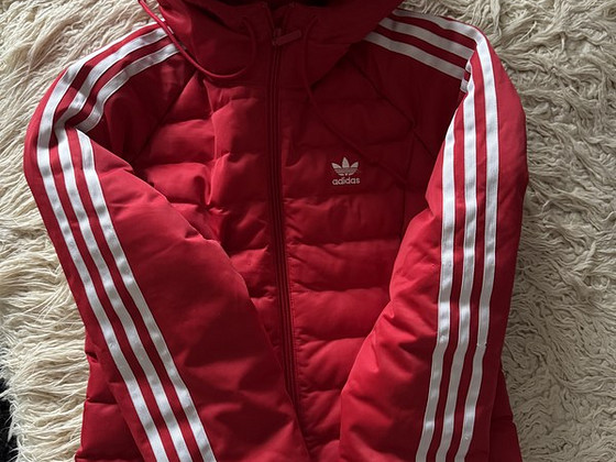 adidas jakk