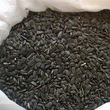 Saulespuķu sēklas 10kg melnās (4751004142277)