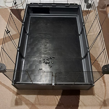 Puur Ferlast multipla