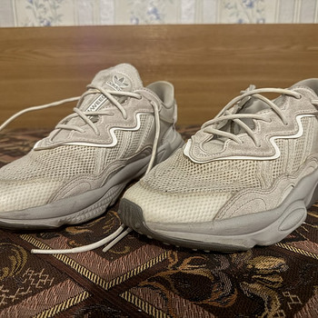 Adidas Ozweego White Grey