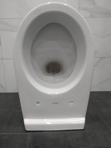 Настенный унитаз (2 фото из 2)