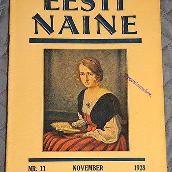 Журнал 1928 г.