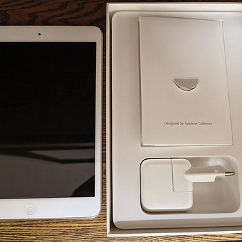 iPad Mini 2 (с эндоскопической камерой)