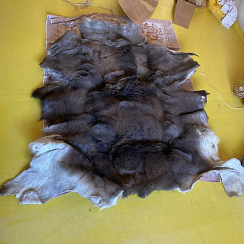 Продаётся лосиная шкура