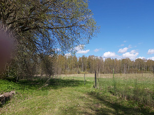 Poe, Koigi, Rapla vald, Raplamaa (3 foto / 23)