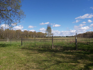 Poe, Koigi, Rapla vald, Raplamaa (6 foto / 23)