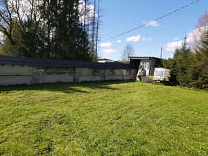 Poe, Koigi, Rapla vald, Raplamaa (11 foto / 23)