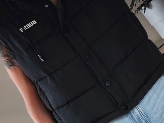 Vest guess