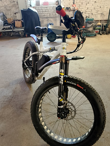 Elektri jalgratas EFAT Fatbike, 1000w (1 foto / 7)