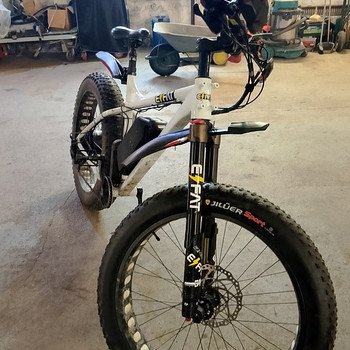 Elektri jalgratas EFAT Fatbike, 1000w