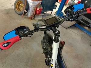 Elektri jalgratas EFAT Fatbike, 1000w (3 foto / 7)