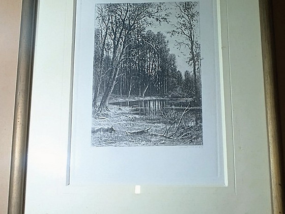 Vaikus Shishkin
