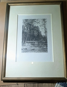 Vaikus Shishkin (1 foto / 3)