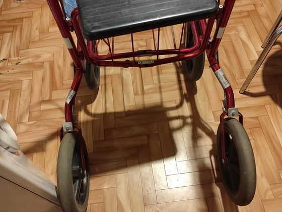 Täiskasvanute käimisraamid