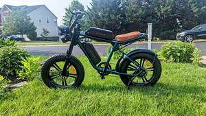 Electric bike Engwe M20 1000W for rent - powerful and comfor (1 foto / 8)