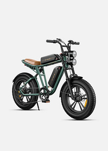 Electric bike Engwe M20 1000W for rent - powerful and comfor (2 foto / 8)