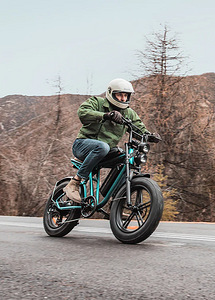 Electric bike Engwe M20 1000W for rent - powerful and comfor (3 foto / 8)