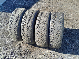 225/65 r17 m+s (1 фото из 2)