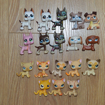Mänguasi pet shop analoog