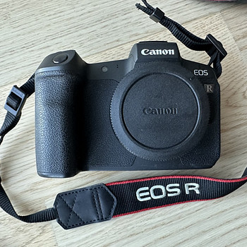 Canon R body