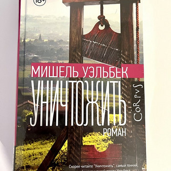 Raamat "Hävitada" - Michel Houellebecq