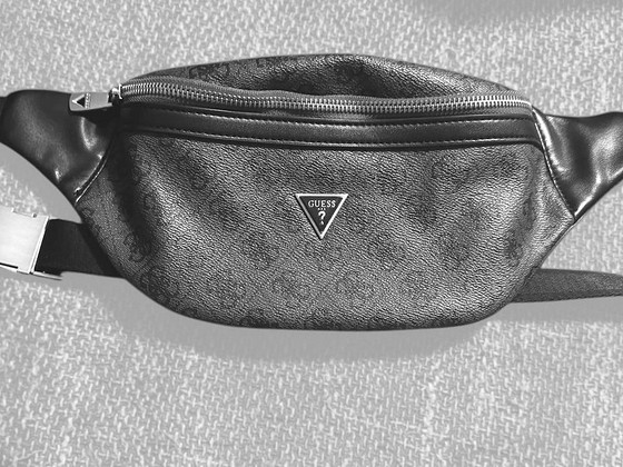 Guess kott