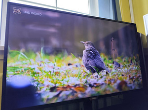 43" 4K UHD Philips Smart TV teler (2 foto / 4)