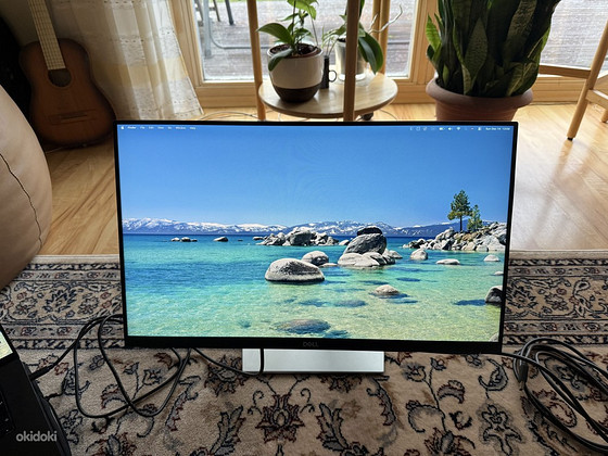 DELL P2424HT 24" Full HD IPS puutetundlik USB-C Hub monitor