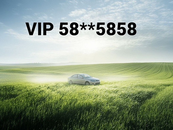 VIP-number