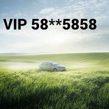 Vip номер