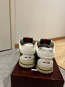 Gucci ketsid (2 foto / 6)