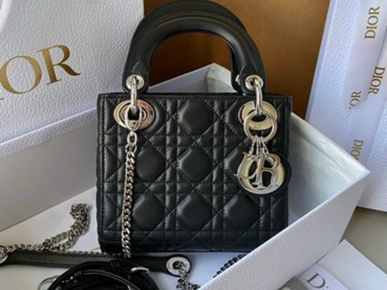 Dior kott