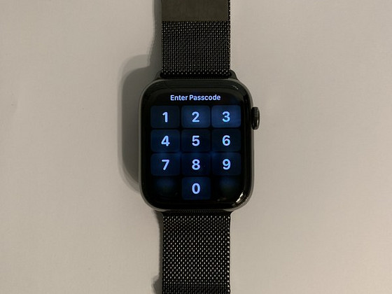 Apple Watch Series 6 (GPS + Cellular) 44mm Case - Stainless