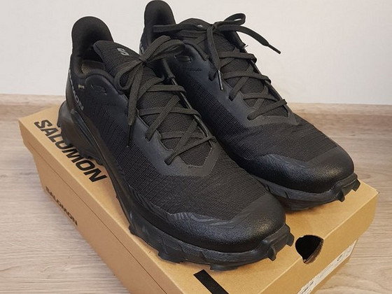 Кроссовки Salomon Alphacross 5 GTX M 473075, 45 р.