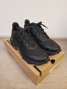 Salomon Alphacross 5 GTX M 473075, 45 s. (1 foto / 5)