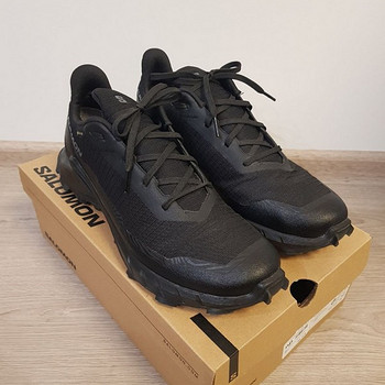 Кроссовки Salomon Alphacross 5 GTX M 473075, 45 р.